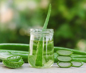 Aloevera